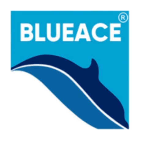 blueace logo