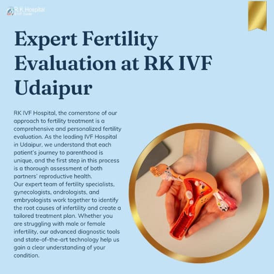 imresizer 1740224996574