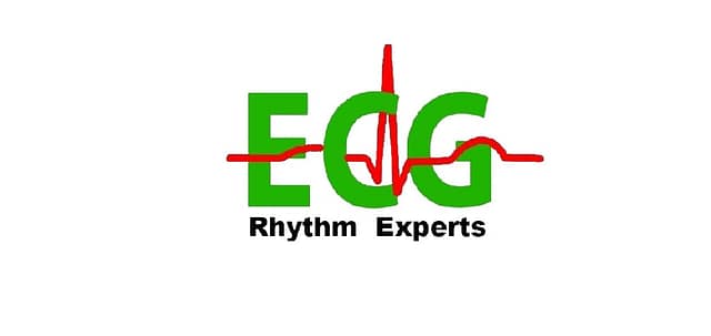 cropped cropped logo removebg preview copy