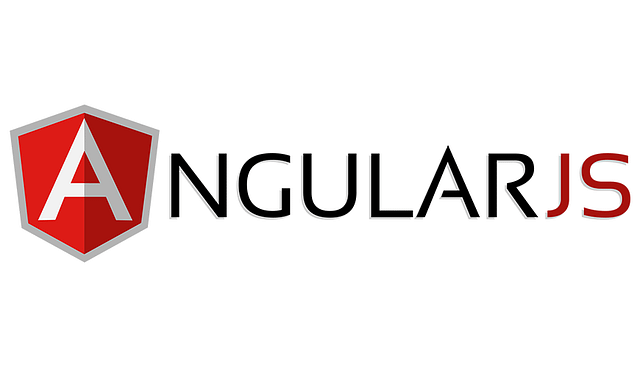 angular js