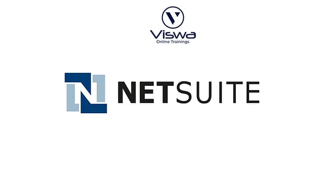 netsuite 47